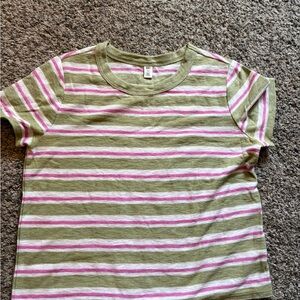 Striped Crop Shirt in Green and Pink